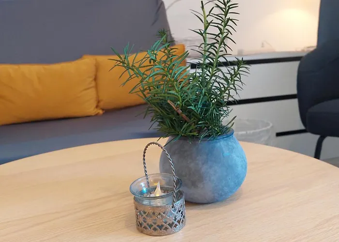 Naehe Wolfgangsee Salzkammergut Appartement Strobl